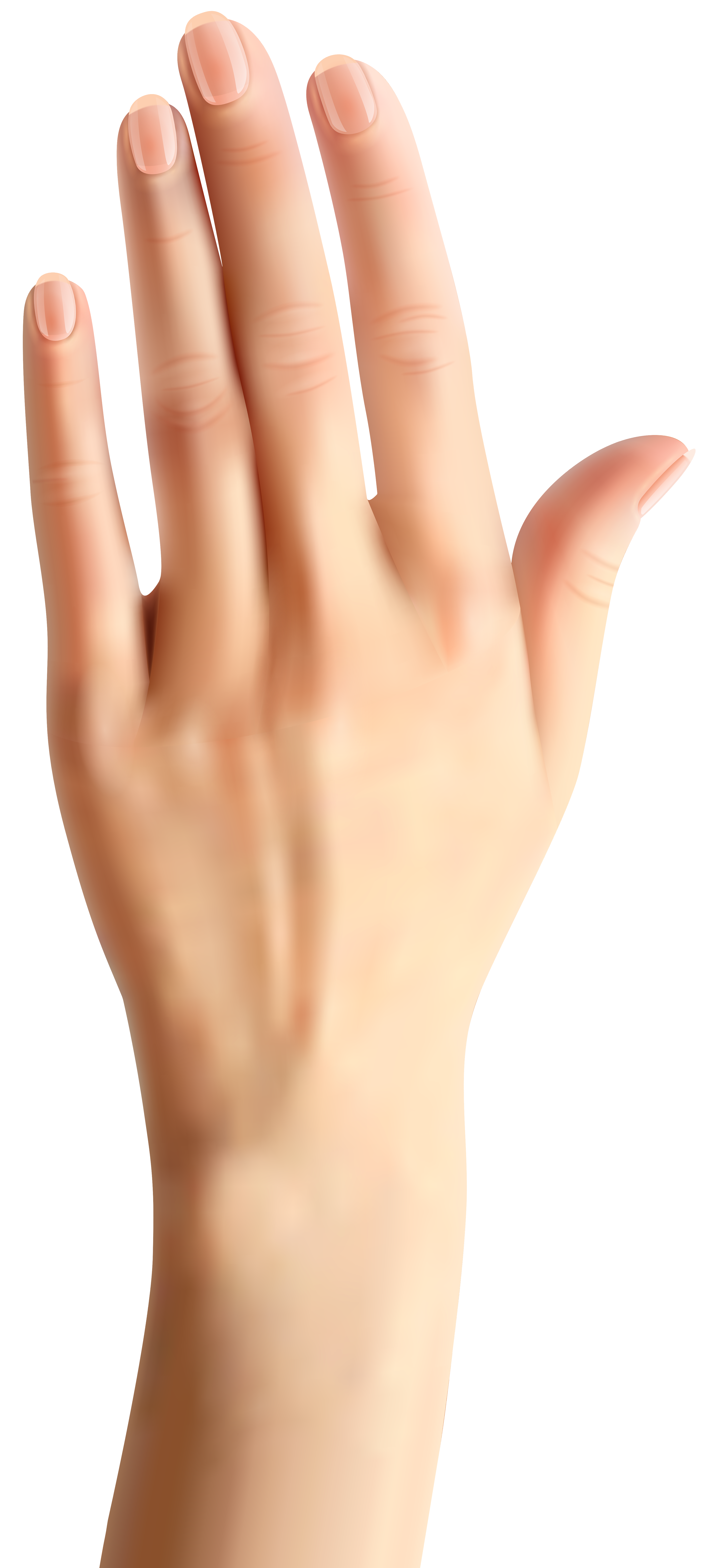 Hand reaching upward
